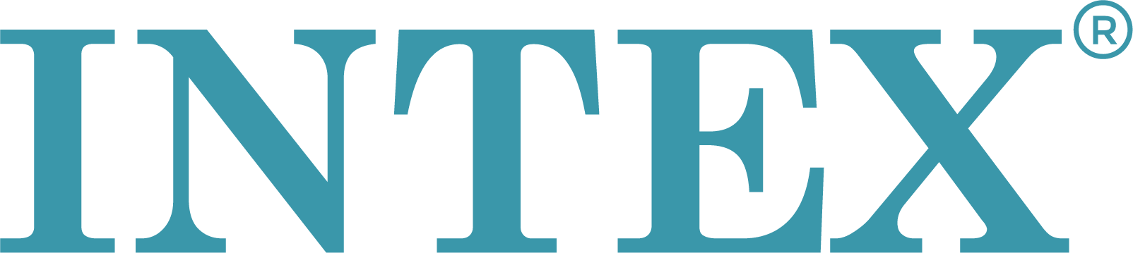 intex logo